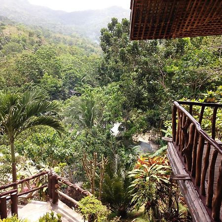 Hilltop Cottages Loboc Exteriér fotografie